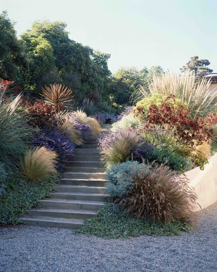 Drought Friendly Landscaping and Ideas for Residents