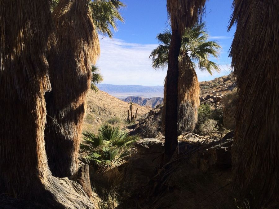 Try The Top 5 La Quinta Hikes: