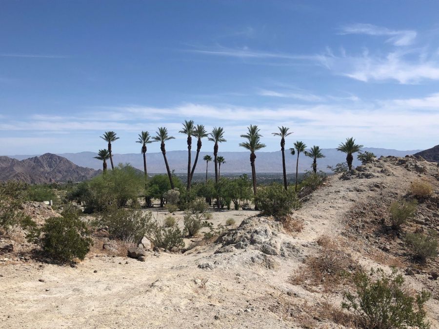 Try The Top 5 La Quinta Hikes