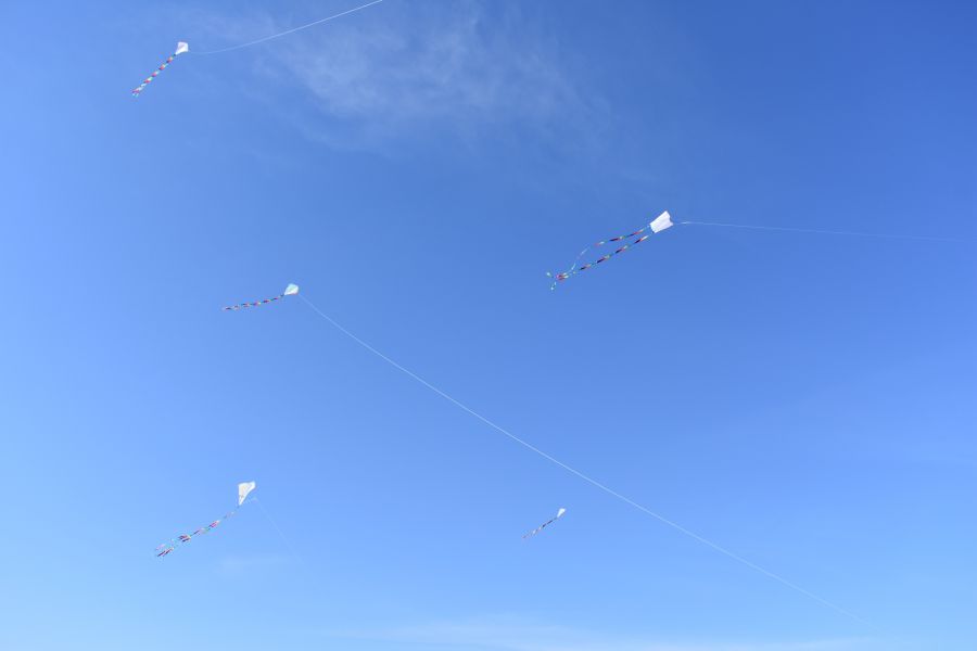 Kite Experience