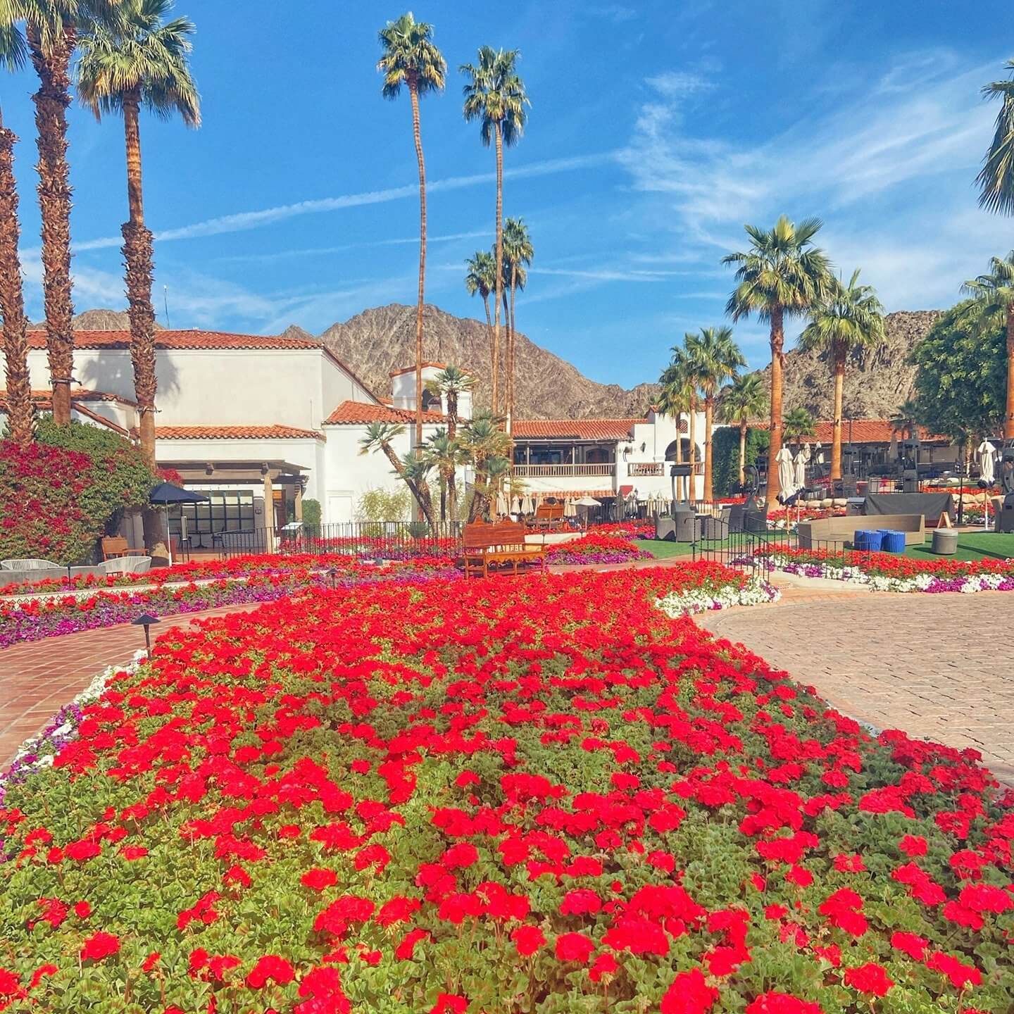 Top 5 Things To Do This Summer in La Quinta Featured Image